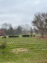 Photo by Stuart Martin