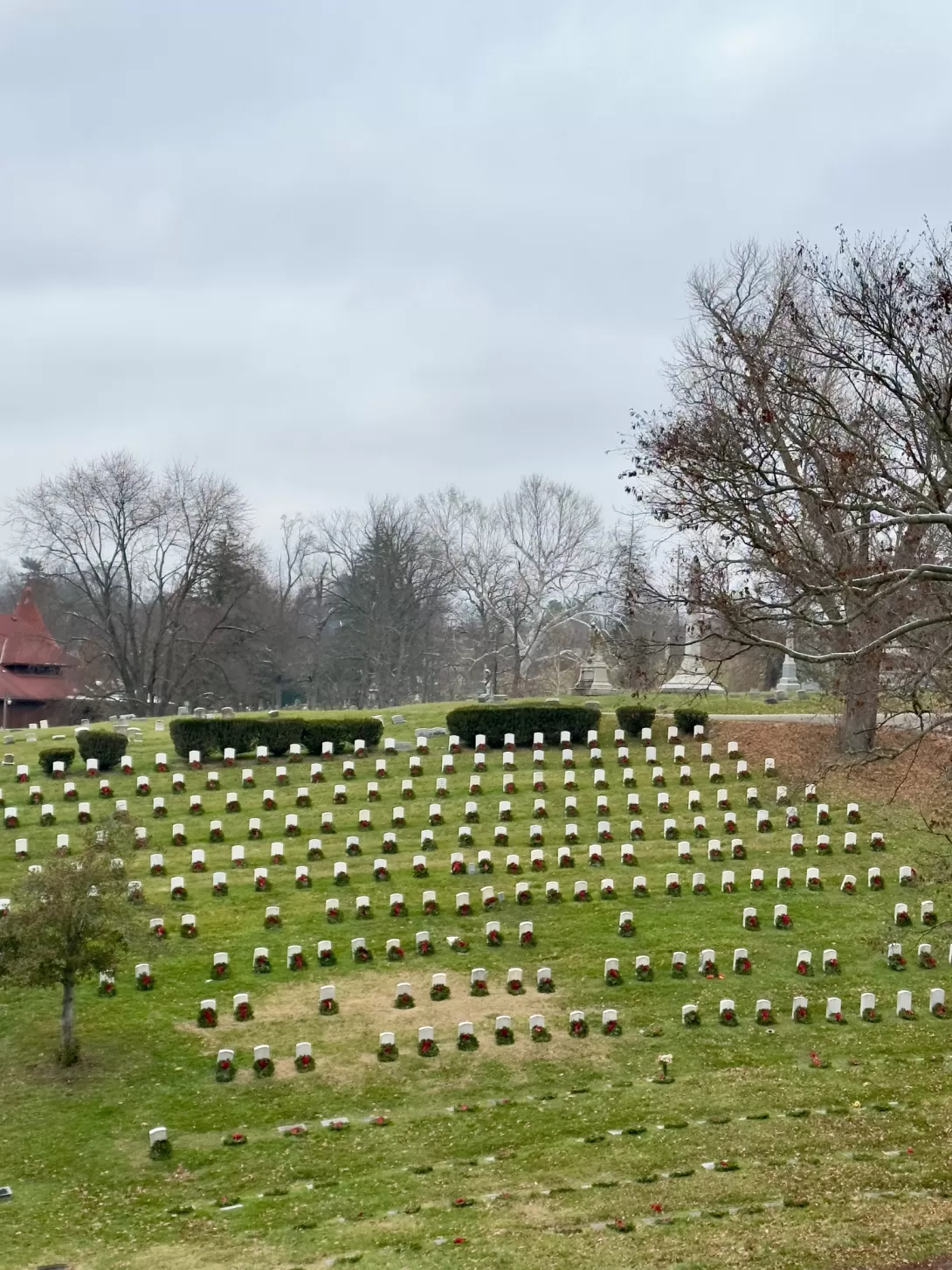 Photo by Stuart Martin